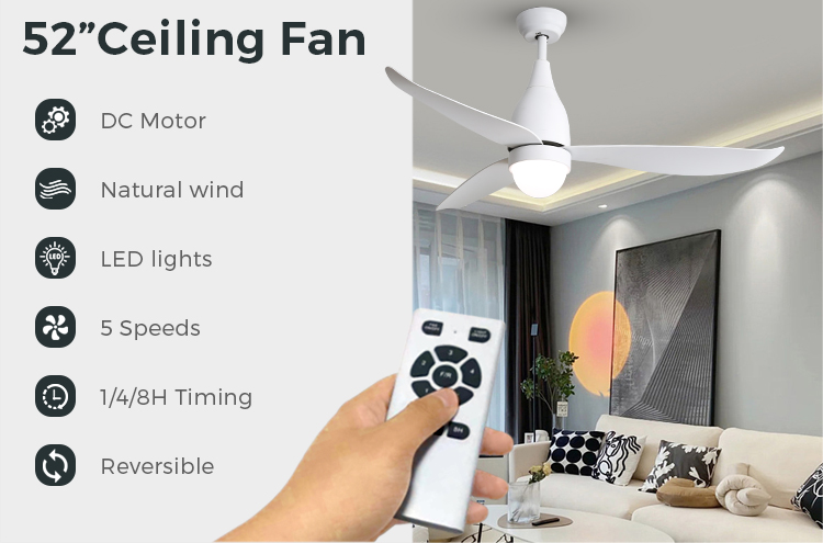 fan light ceiling