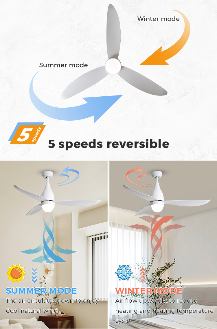 fan light ceiling