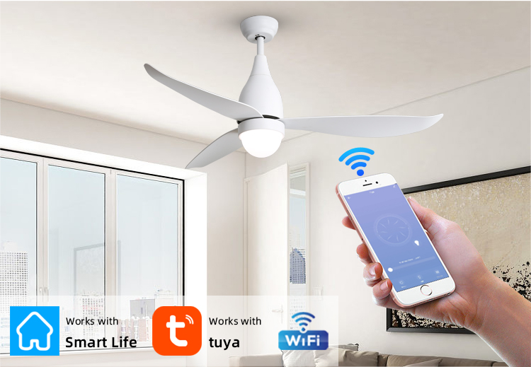 fan light ceiling