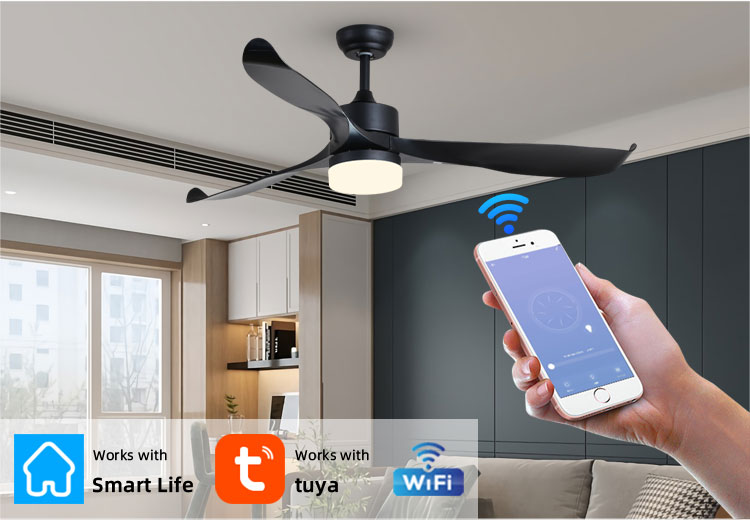 ceiling fan with led light