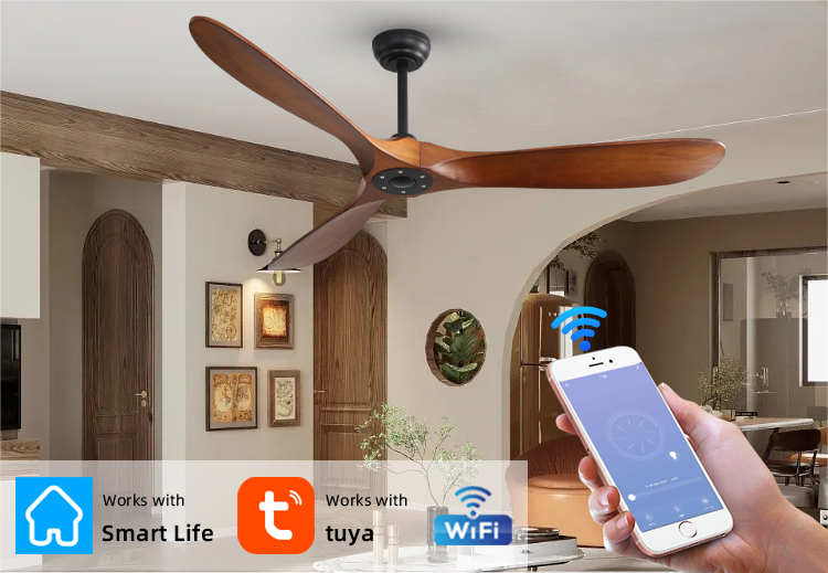 60 inch ceiling fan
