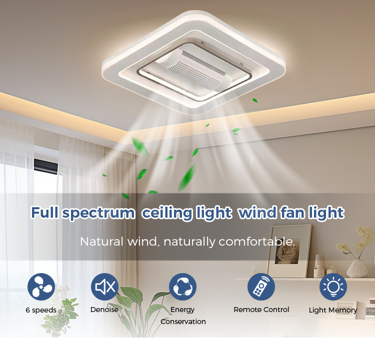 ceiling fan light