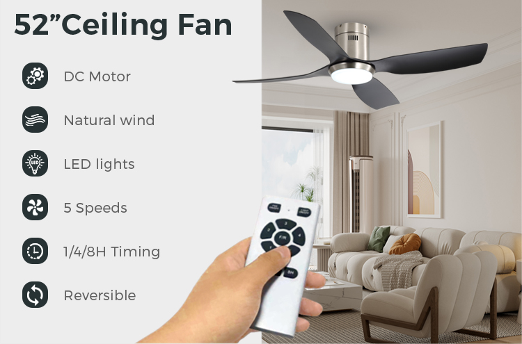 smart ceiling fan with light