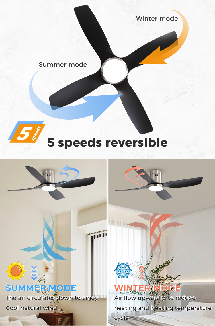 smart ceiling fan with light
