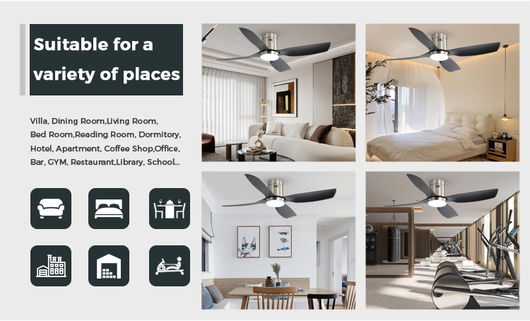 smart ceiling fan with light