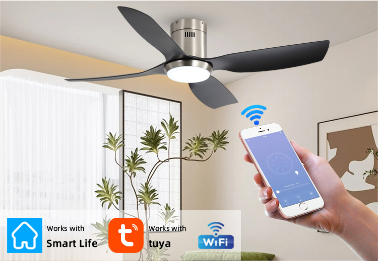smart ceiling fan with light