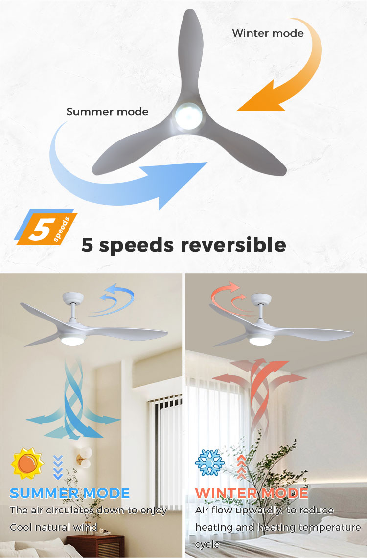 modern ceiling fan with light