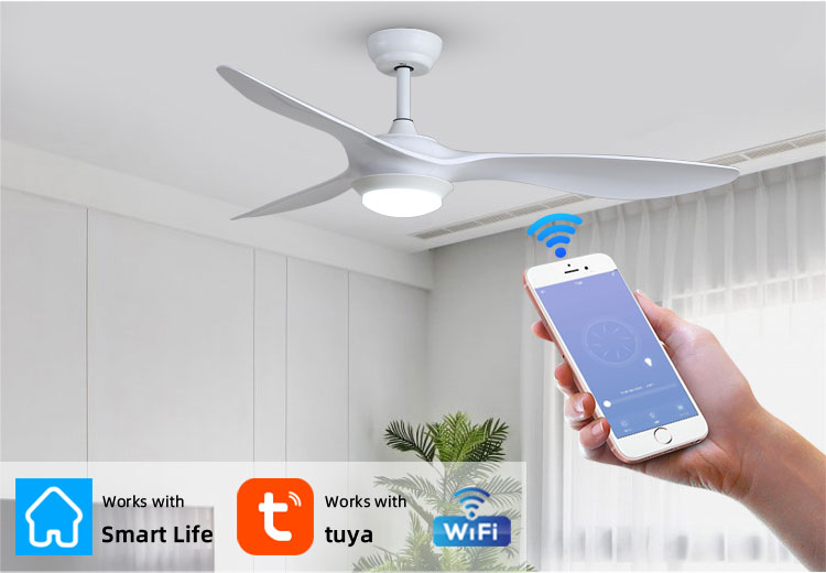 modern ceiling fan with light