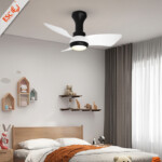 small ceiling fan